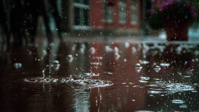 Lee más sobre el artículo El Agua de la Fuente